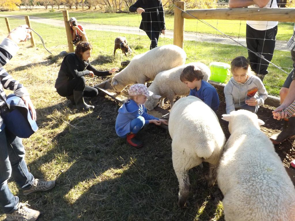 Karetu Downs Farm Stay Hawarden Eksteriør bilde